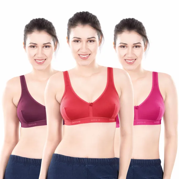 Multicolor_Everyday_Bra_for_Women_Pack_Of_3