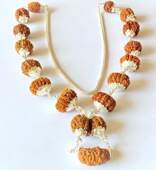 Premium_and_Abhimantrit_1–13_Mukhi_Rudraksha_Mala