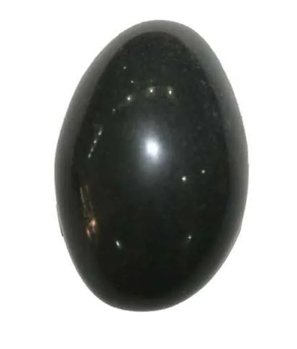 Laxmi_Narayan_Shaligram_–_Rare_and100%_Authentic_Sacred_Shila