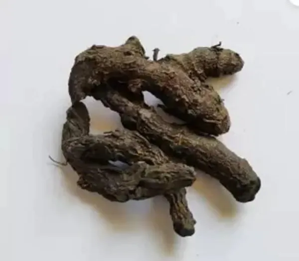 Abhimantrit_Kali_Haldi