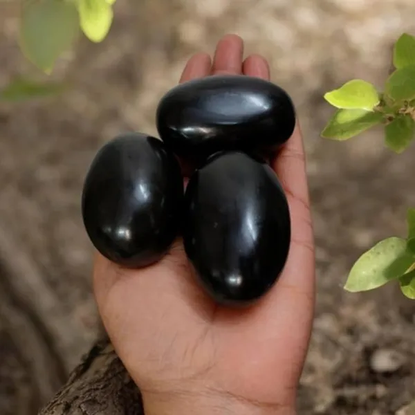 Laxmi_Narayan_Shaligram_–_Rare_and100%_Authentic_Sacred_Shila