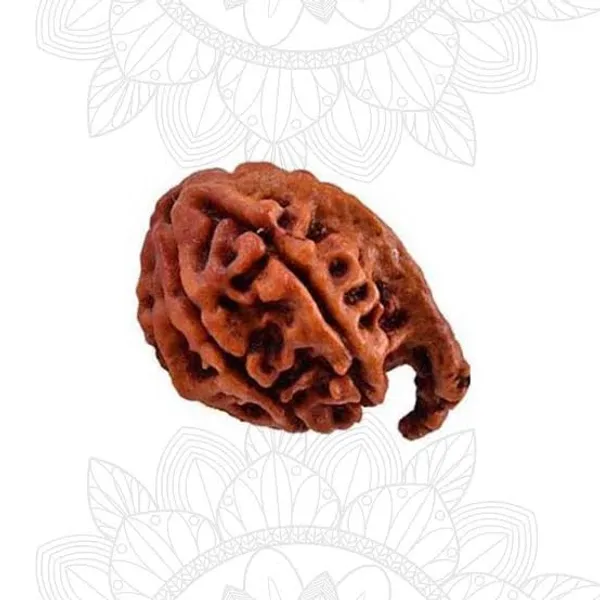 Premium_Siddh_Ganesh_Rudraksha