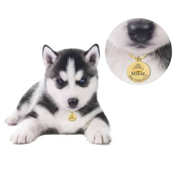 Pet_Name_Tag_Micro_Chipped_Tag_Dog_Name_Tag_Laserwall_Pet_Name_Plate_Stainless_Steel_Name_Tag