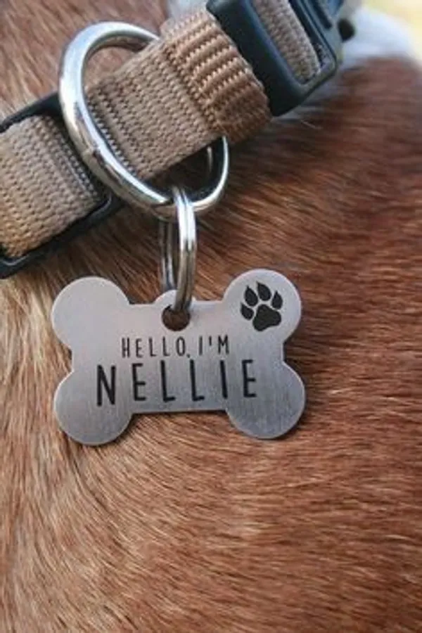 Pet_Name_Tag_Dog_Name_Plate_Bone_Type_Name_Tag_Laserwall_Dog_Name_Tag