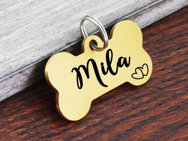Pet_Name_Tag_Dog_Name_Plate_Bone_Type_Name_Tag_Laserwall_Dog_Name_Tag