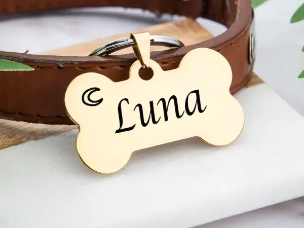 Pet_Name_Tag_Dog_Name_Plate_Bone_Type_Name_Tag_Laserwall_Dog_Name_Tag