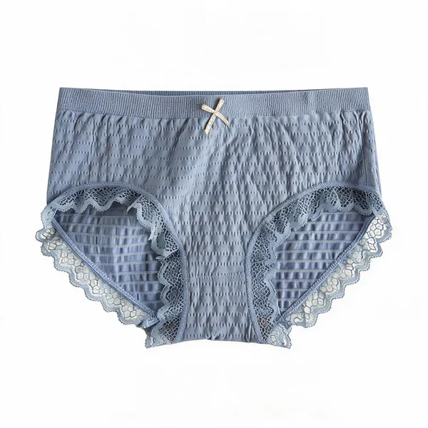 Grey_Cotton_Lace_Trim_Brief_Panty_For_Women
