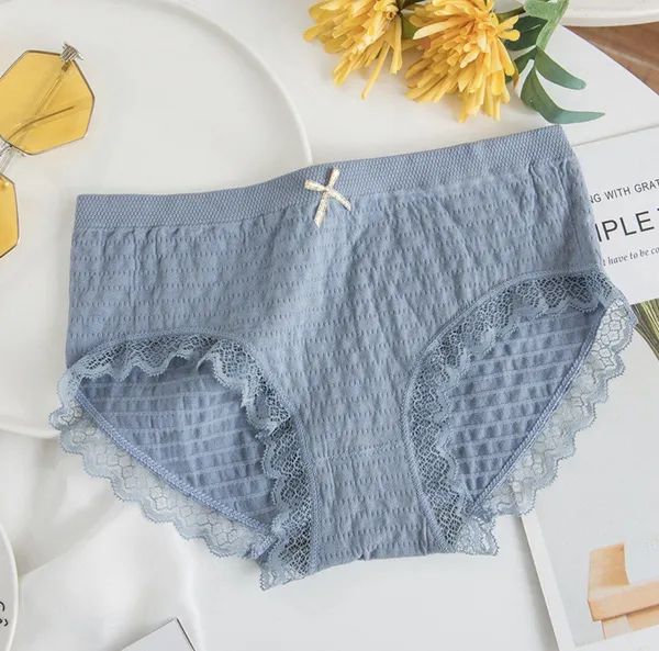 Grey_Cotton_Lace_Trim_Brief_Panty_For_Women