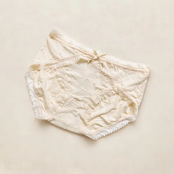 White_Cotton_High_Rise_Lace_Brief_Panty_For_Women