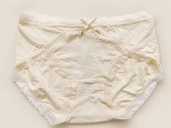 White_Cotton_High_Rise_Lace_Brief_Panty_For_Women