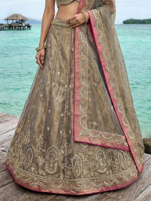 Taupe_Embroidered_Lehenga_Choli_Set_for_Women