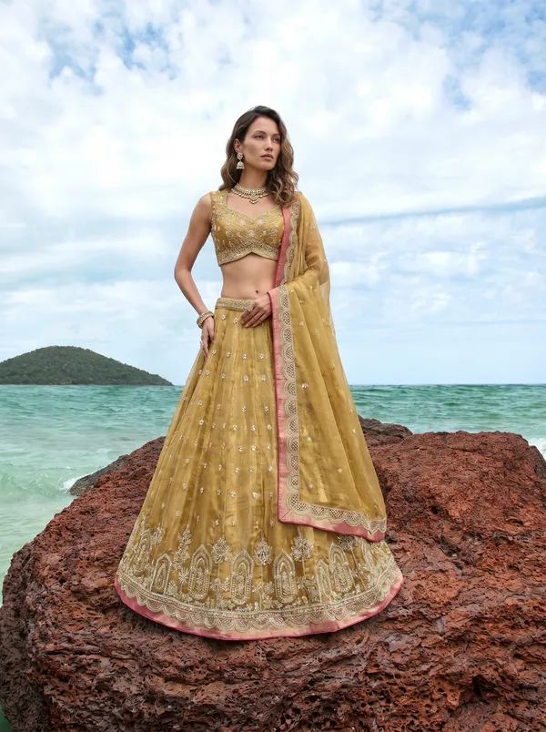 Gold_Embroidered_Flared_Lehenga_Choli_Set_for_Women