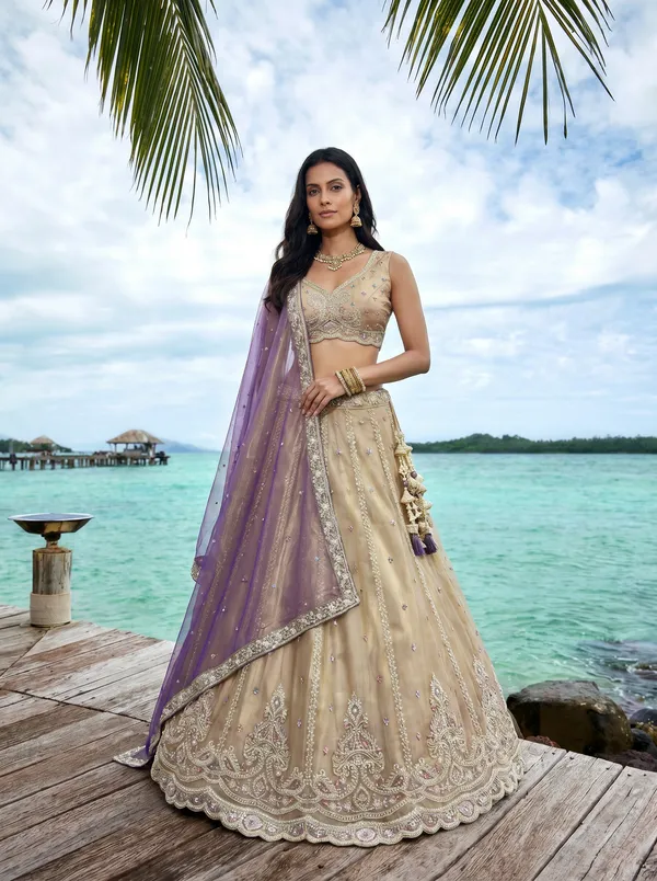 Champagne_Embroidered_Lehenga_Choli_for_Women