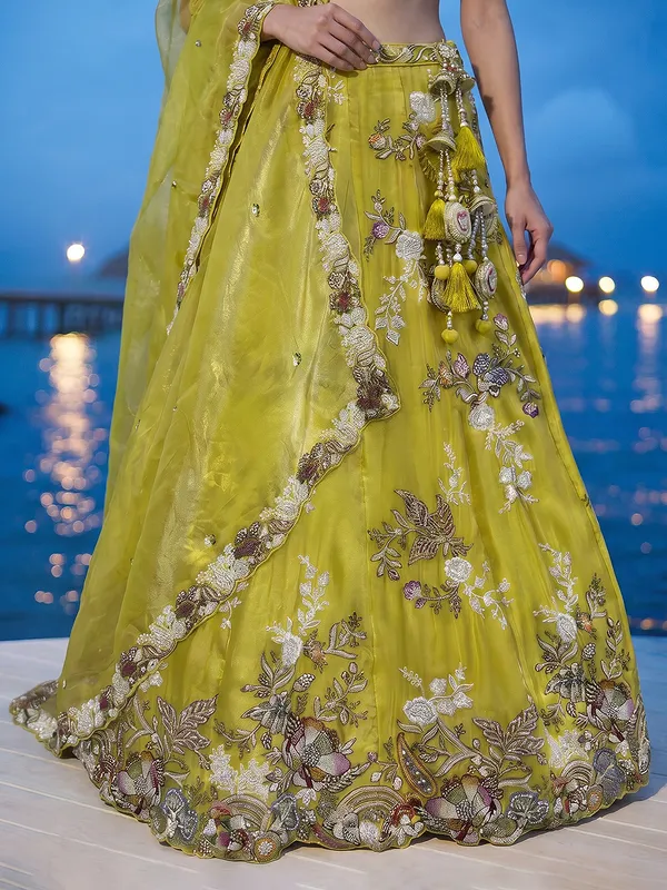 Green_Embroidered_Flared_Lehenga_Skirt_for_Women