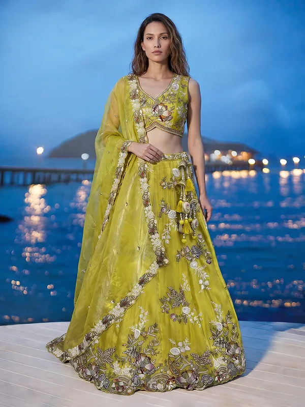 Green_Embroidered_Flared_Lehenga_Skirt_for_Women