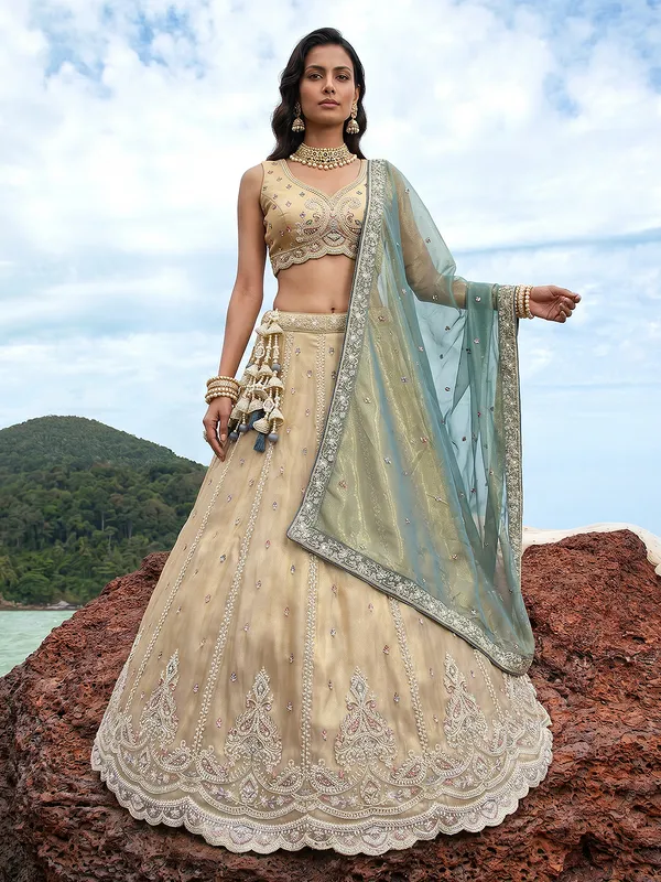 Champagne_Embroidered_Lehenga_Choli_Set_for_Women