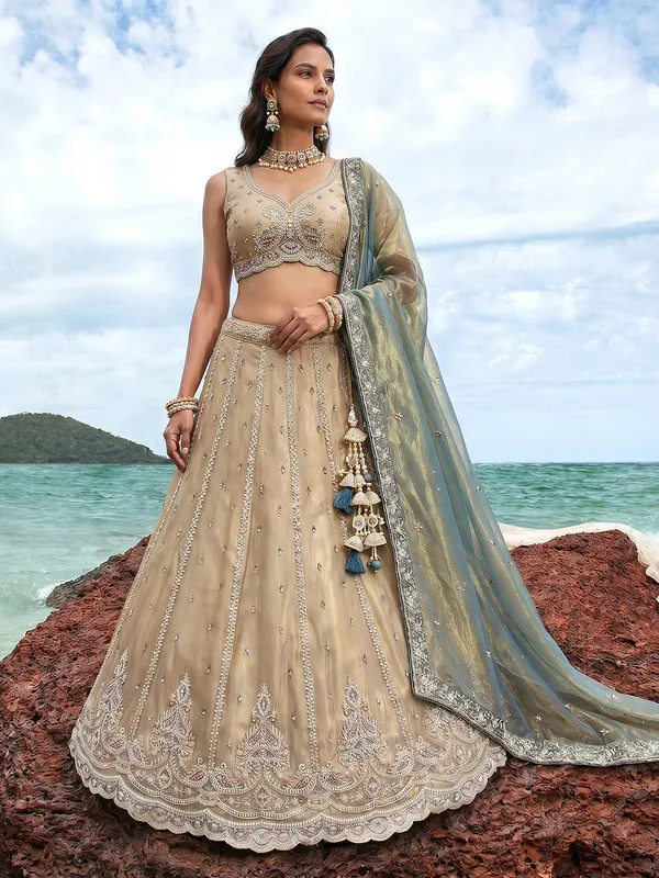 Champagne_Embroidered_Lehenga_Choli_Set_for_Women