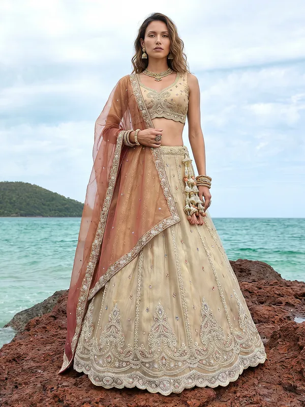 Champagne_Embroidered_Lehenga_Choli_Set_for_Women