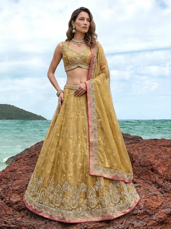Golden_Embroidered_Flared_Lehenga_Choli_for_Women