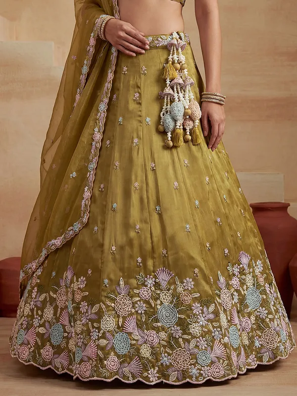Olive_Embroidered_Flared_Lehenga_Choli_for_Women