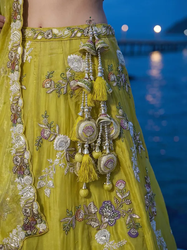 Green_Embroidered_Flared_Lehenga_Skirt_for_Women