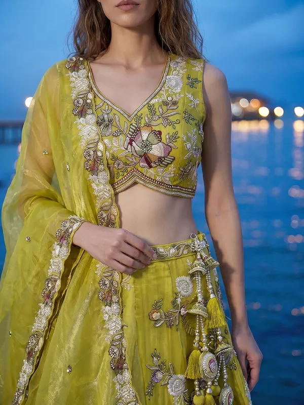 Green_Embroidered_Flared_Lehenga_Skirt_for_Women