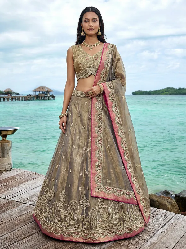 Taupe_Embroidered_Lehenga_Choli_Set_for_Women