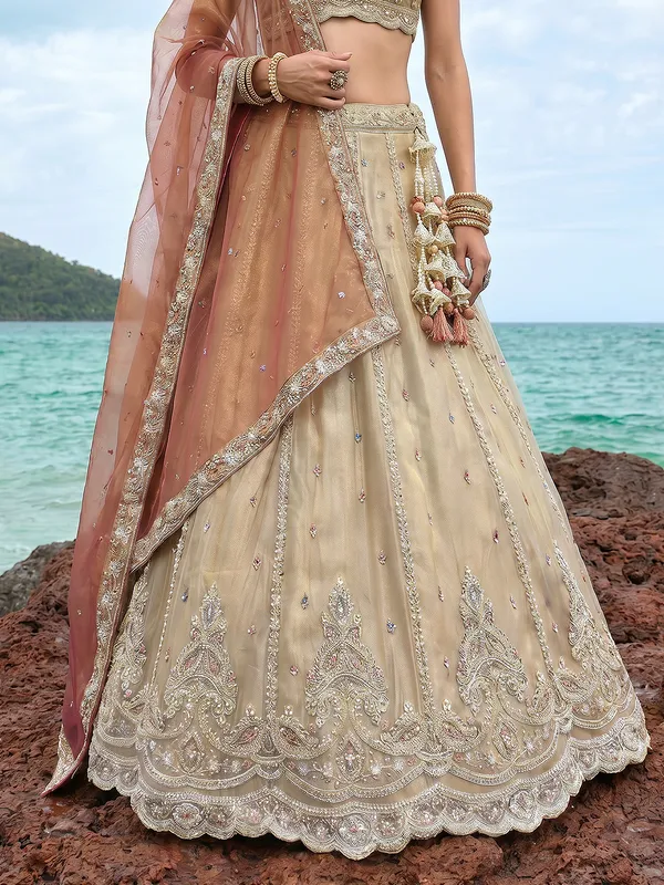 Champagne_Embroidered_Lehenga_Choli_Set_for_Women