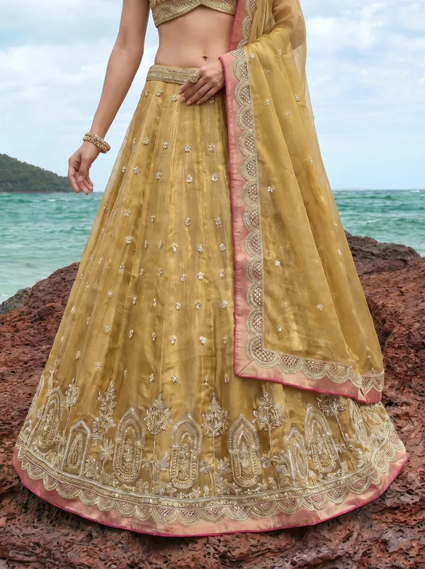 Gold_Embroidered_Flared_Lehenga_Choli_Set_for_Women