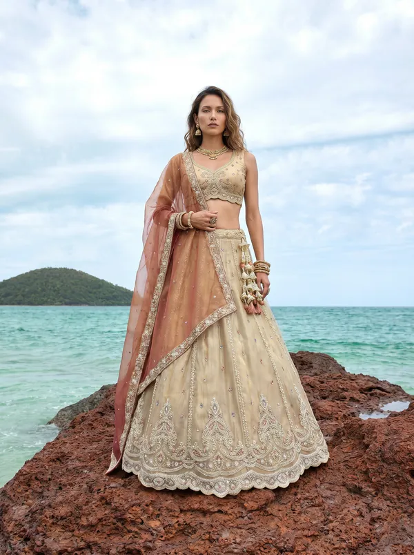 Beige_Embroidered_Lehenga_Choli_Set_for_Women