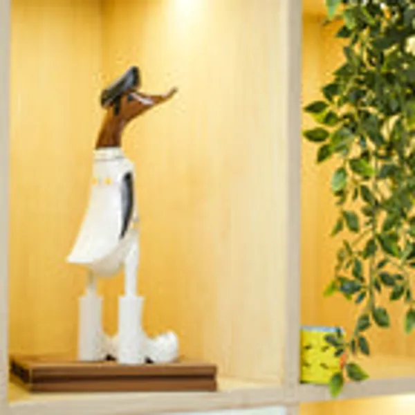 Timber_Kala_S_Small_Elvis_Presley_Swagger_Ducks_For_Decor