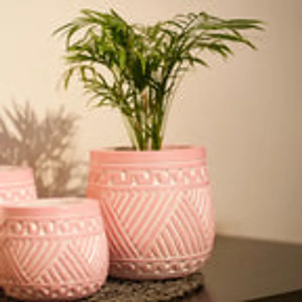 Timber_Kala_S_Handcrafted_Pot_Set_For_Decor