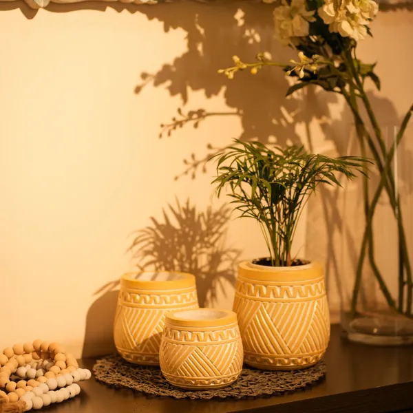 Timber_Kala_S_Handcrafted_Pot_Set_For_Decor