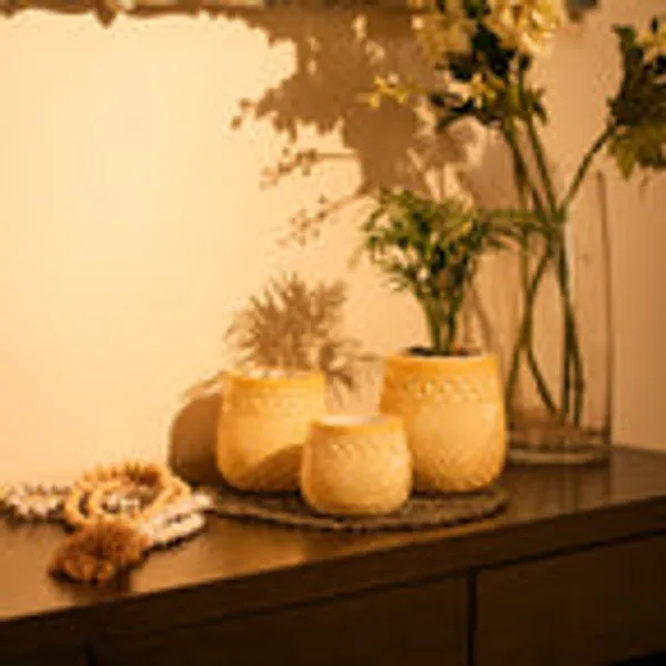 Timber_Kala_S_Handcrafted_Pot_Set_For_Decor