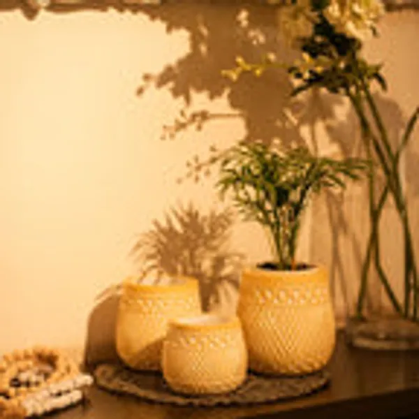 Timber_Kala_S_Handcrafted_Pot_Set_For_Decor