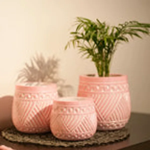 Timber_Kala_S_Handcrafted_Pot_Set_For_Decor