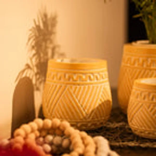 Timber_Kala_S_Handcrafted_Pot_Set_For_Decor
