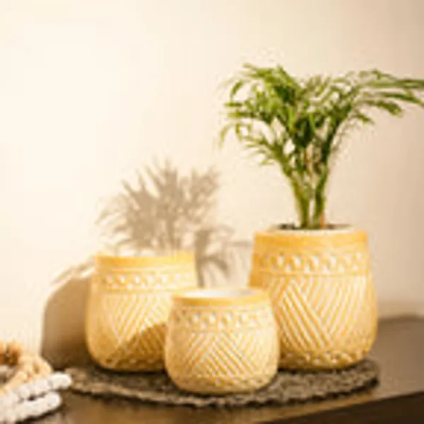 Timber_Kala_S_Handcrafted_Pot_Set_For_Decor