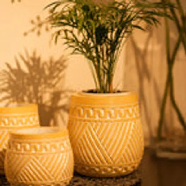 Timber_Kala_S_Handcrafted_Pot_Set_For_Decor