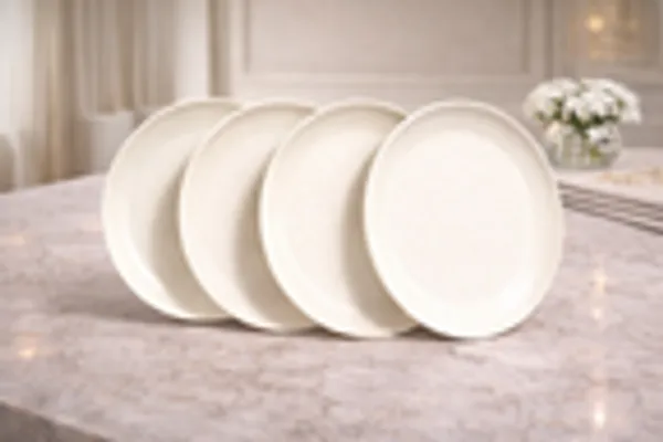 Desert_Mist_4_Piece_Matte_Dinner_Plate_Set