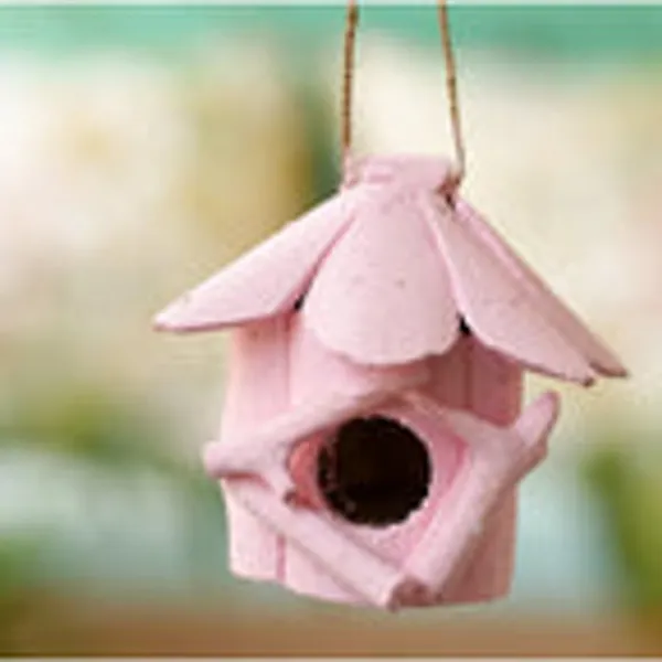 Timber_Kala_S_Bird_House_For_Decor