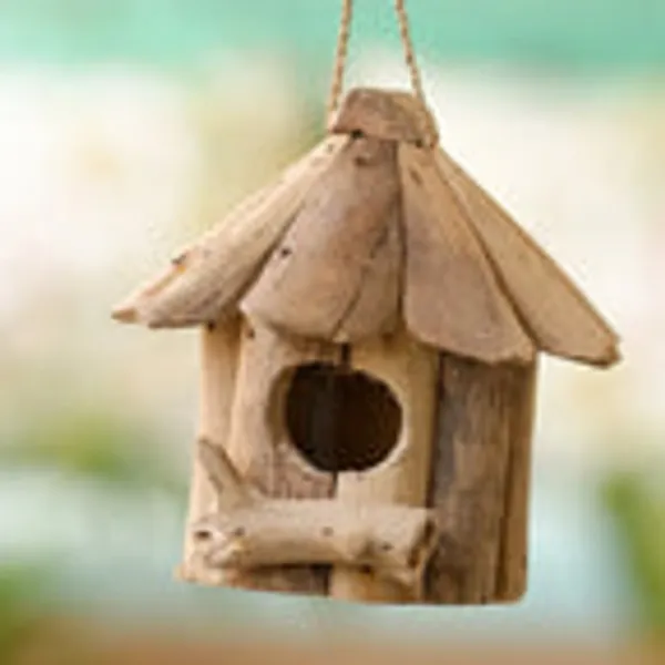 Timber_Kala_S_Bird_House_For_Decor