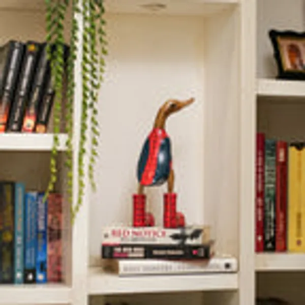 Timber_Kala_S_Small_Spiderman_Swagger_Ducks_For_Decor