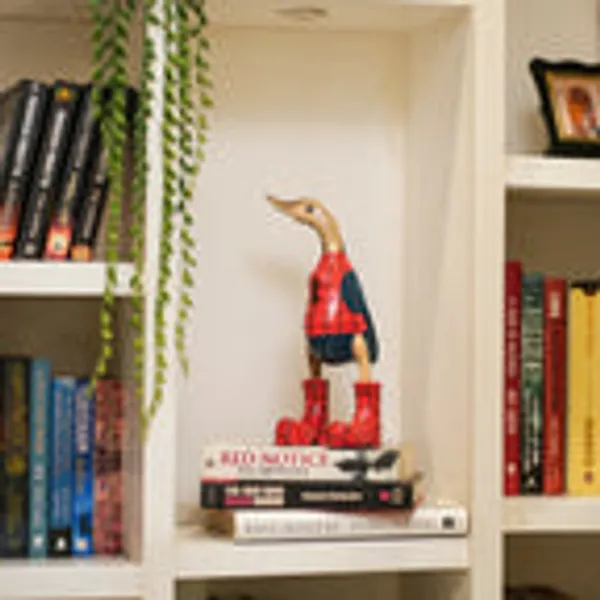 Timber_Kala_S_Small_Spiderman_Swagger_Ducks_For_Decor
