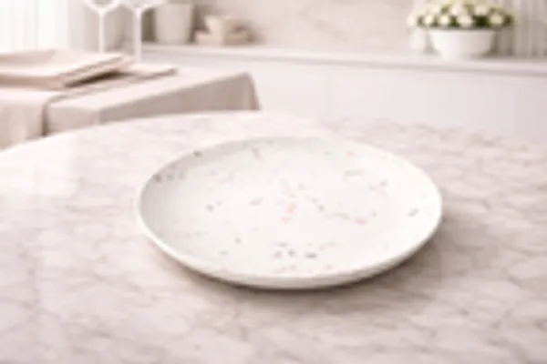 Terrazzo_Pattern_Porcelain_Plate_Set_4_Piece_With_Chrome_Rack