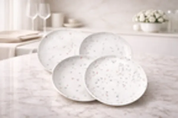 Terrazzo_Pattern_Porcelain_Plate_Set_4_Piece_With_Chrome_Rack