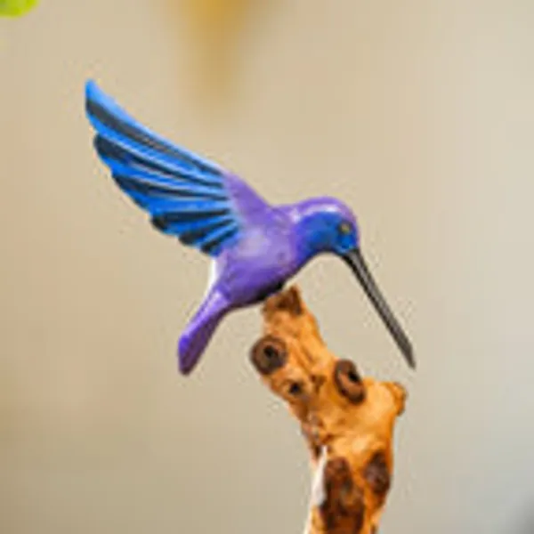 Timber_Kala_S_Humming_Bird_On_Driftwood_For_Decor