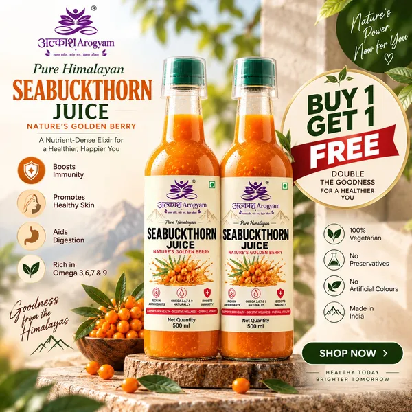 Buy_1_Get_1_Free_Sea_Buckthorn_Juice_500ml_+_500ml_|_Omega_3_6_7_9_Rich_Superfruit_|_High_Vitamin_C_|_Immunity_Booster_|_Skin_&_Hair_Health_Drink