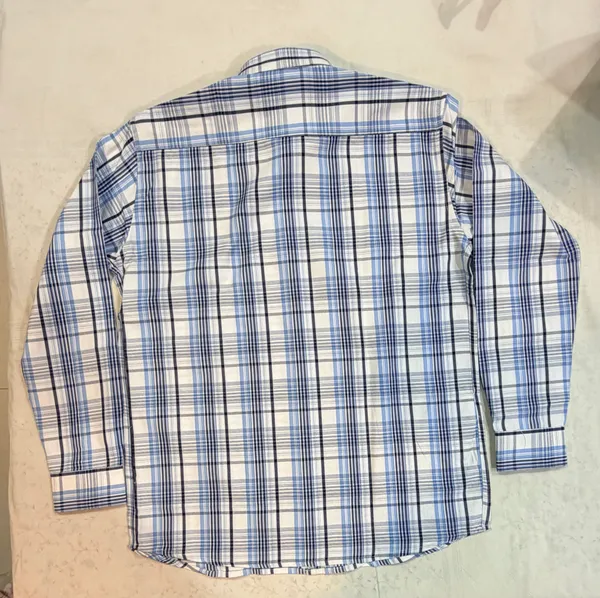 Blue_&_White_Check_Shirt