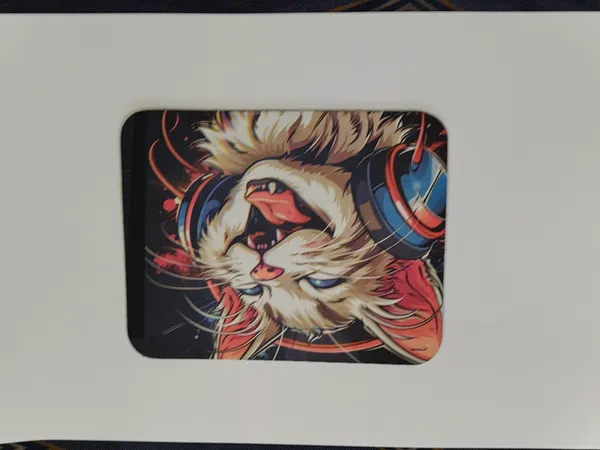 Multicolor_Rubber_Spandex_Mouse_Pad_Computer_Accessories_Pack_Of_2
